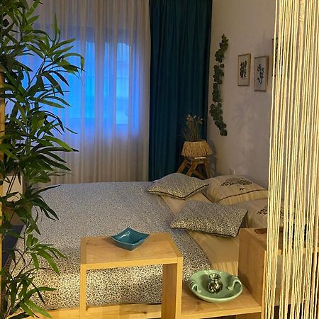 Studio Flat In The City Center Тирана Экстерьер фото